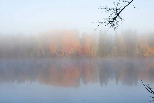 Прекрасный Осенний Утренний Пейзаж Вод Реки Кюмийоки Тумане Финляндия Kymenlaakso — стоковое фото