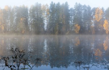 Beautiful autumn morning landscape of Kymijoki river waters in fog. Finland, Kymenlaakso, Kouvola clipart