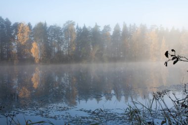 Güzel sonbahar sabahı peyzaj Kymijoki Nehri suları sisin içinde. Finlandiya, Kymenlaakso, Kouvola