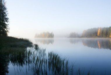 Güzel sonbahar sabahı peyzaj Kymijoki Nehri suları sisin içinde. Finlandiya, Kymenlaakso, Kouvola