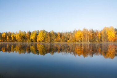 Güzel sonbahar sabahı peyzaj Kymijoki Nehri suları sisin içinde. Finlandiya, Kymenlaakso, Kouvola