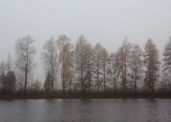 Paisaje Otoñal Las Aguas Del Río Kymijoki Niebla Finlandia Kymenlaakso — Foto de Stock