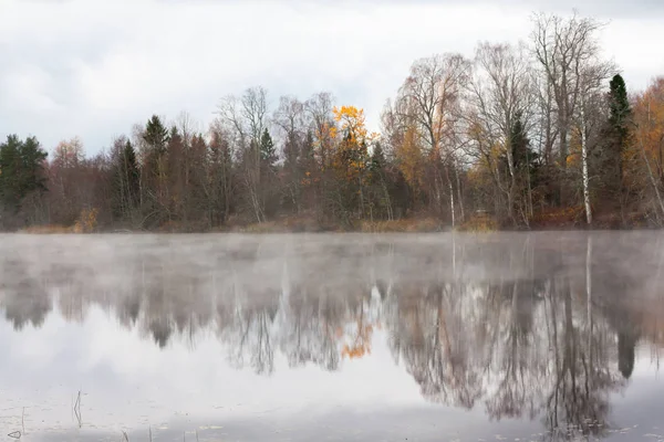 Bellissimo Paesaggio Autunnale Delle Acque Del Fiume Kymijoki Nella Nebbia — Foto Stock