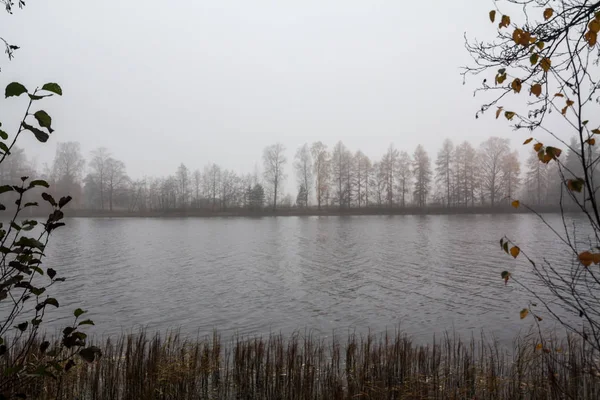 Paysage Automnal Des Eaux Rivière Kymijoki Dans Brouillard Finlande Kymenlaakso — Photo