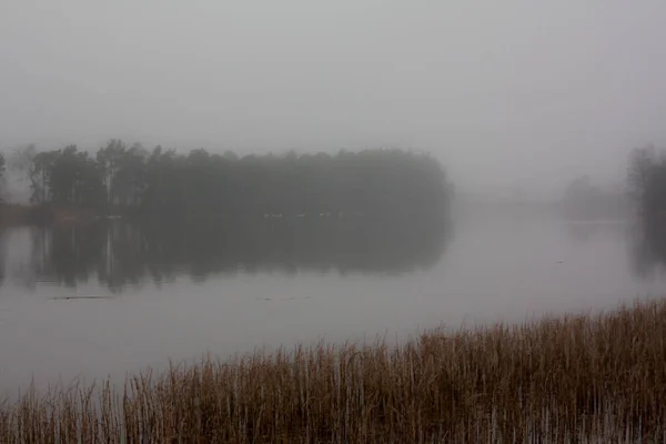 Paysage Automnal Des Eaux Rivière Kymijoki Dans Brouillard Finlande Kymenlaakso — Photo