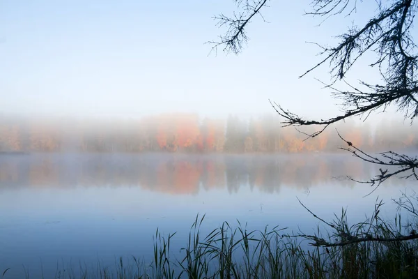 Bela Paisagem Matinal Outono Águas Rio Kymijoki Nevoeiro Finlândia Kymenlaakso — Fotografia de Stock