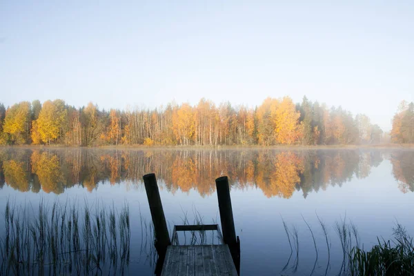Осенний Утренний Пейзаж Вод Реки Кимиоки Пир Тумане Финляндия Kymenlaakso — стоковое фото