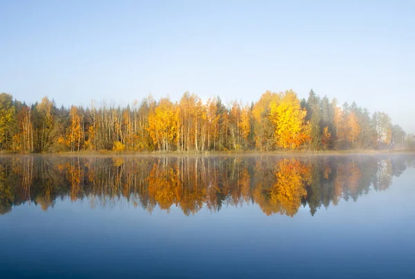 Прекрасный Осенний Утренний Пейзаж Вод Реки Кюмийоки Тумане Финляндия Kymenlaakso — стоковое фото