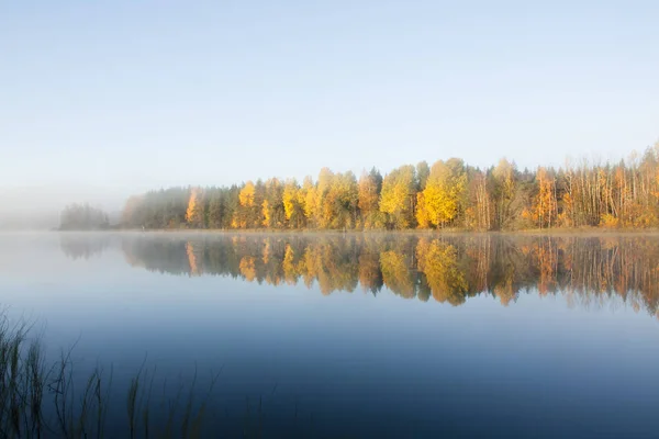 Τοπίο Όμορφο Φθινοπωρινό Πρωί Νερά Του Ποταμού Kymijoki Στην Ομίχλη — Φωτογραφία Αρχείου