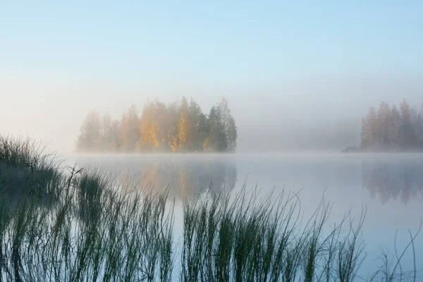 Beautiful Autumn Morning Landscape Kymijoki River Waters Fog Finland Kymenlaakso — Stock Photo, Image