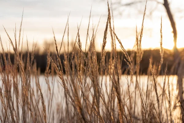 夕暮れの Kymijoki 川の水の美しい秋の風景 キュメンラークソ フィンランドのコウヴォラ — ストック写真