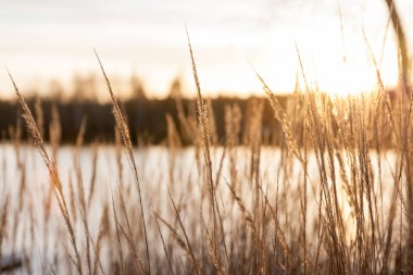 Kymijoki Nehri suları batımında güzel sonbahar manzara. Finlandiya, Kymenlaakso, Kouvola