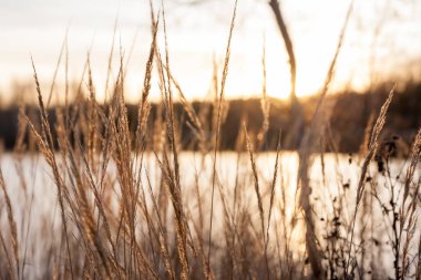 Kymijoki Nehri suları batımında güzel sonbahar manzara. Finlandiya, Kymenlaakso, Kouvola