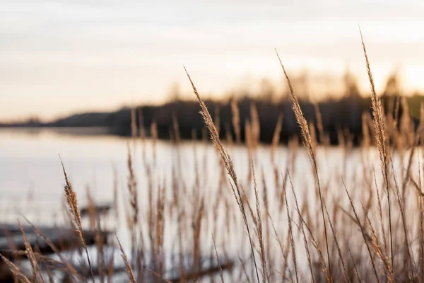 夕暮れの Kymijoki 川の水の美しい秋の風景 キュメンラークソ フィンランドのコウヴォラ — ストック写真