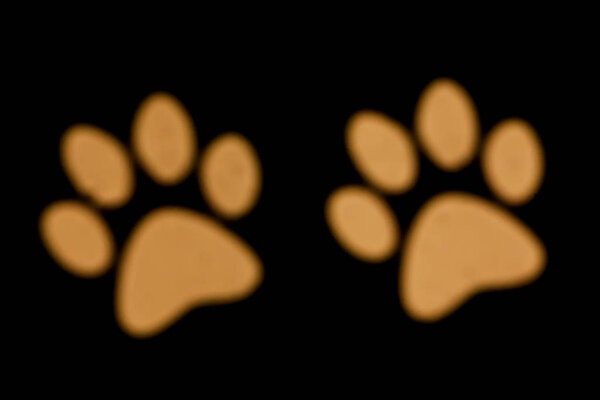 Blurred photo of defocused bokeh colorful lights in the shape of dog paw.