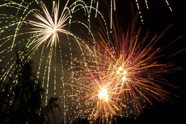 Güzel renkli havai fişek kutlama siyah arka plan üzerine. Yeni yıl ve tatil kavramı.