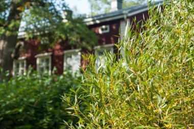 Kouvola, Finlandiya - 20 Eylül 2018: Güzel kırmızı eski ahşap evin Anjala bölge manor