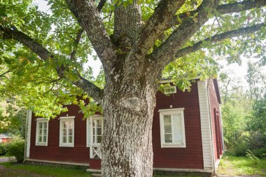 Kouvola, Finlandiya - 20 Eylül 2018: Güzel kırmızı eski ahşap ev ve büyük ağaç Anjala bölge manor üzerinde
