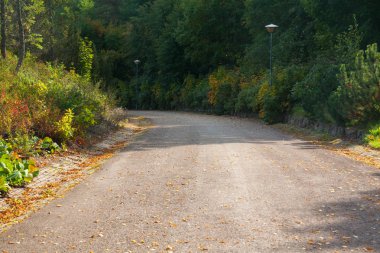 Geçit lane yolu ile yaz, Finlandiya ormandaki yeşil ağaçlar. Park güzel dar sokakta. Karanlık Orman patika yoldan.