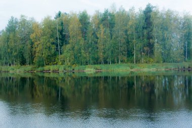 Orman nehir yansıma manzara Finlandiya'da sonbahar.