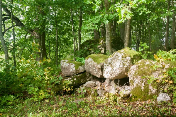 Grandes Pedras Estão Floresta Finlândia Verão — Fotografia de Stock