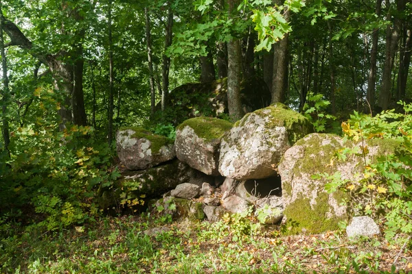 Grandes Piedras Están Bosque Finlandia Verano — Foto de Stock