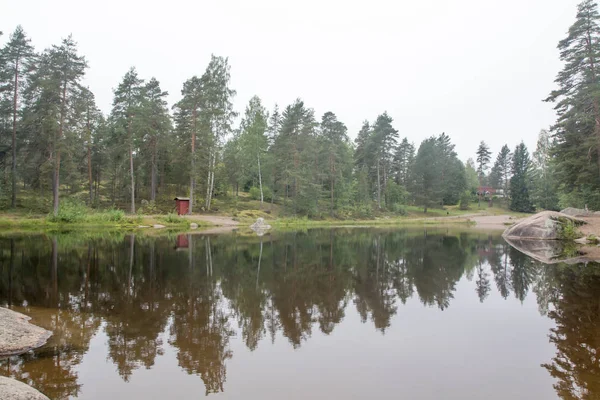 Reflektion Träd Dammen Finland Hösten — Stockfoto