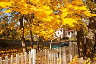 Beyaz çit ve Finlandiya'da sonbahar renkleri ile güzel renkli bir sonbahar manzara