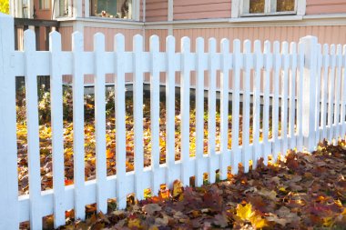 Beyaz çit ve Finlandiya'da sonbahar renkleri ile güzel renkli bir sonbahar manzara