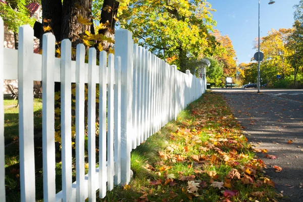 Beyaz çit ve Finlandiya'da sonbahar renkleri ile güzel renkli bir sonbahar manzara