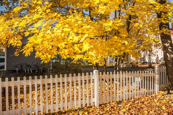 Bisiklet, beyaz çit ve Finlandiya'da sonbahar renkleri ile güzel renkli bir sonbahar manzara