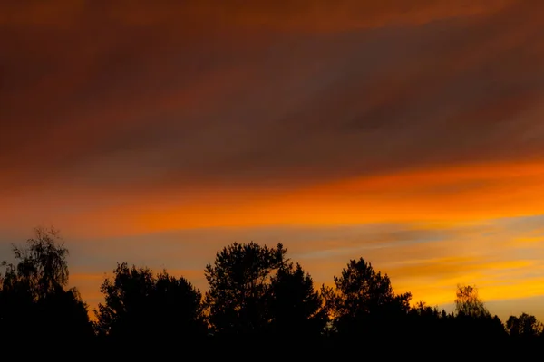 Πολύχρωμα Φθινοπωρινής Σιλουέτα Ουρανός Και Δάσος Στο Ηλιοβασίλεμα — Φωτογραφία Αρχείου