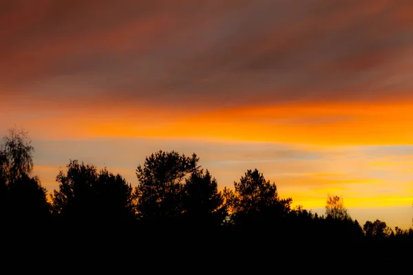 Farbenfroher Herbsthimmel Und Waldsilhouette Bei Sonnenuntergang — Stockfoto