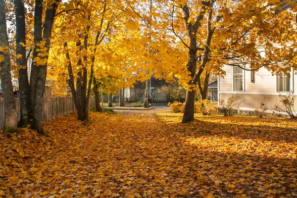 Autumn Landscape Wooden House Yellow Autumn Trees Leaf Covered Walkway — Stock Photo, Image