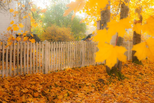 Piękne Kolorowe Sceny Jesień Biały Płot Stary Kolory Jesieni Finlandii — Zdjęcie stockowe