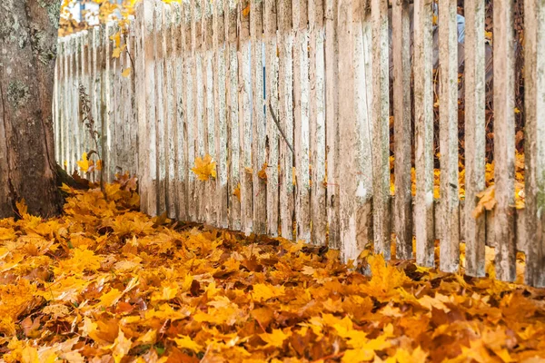 Красивая Осенняя Сцена Белым Старым Забором Осенними Красками Финляндии — стоковое фото