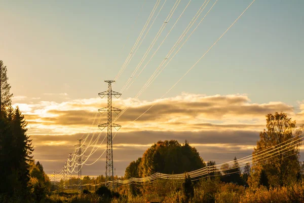 High-voltage power lines at golden sunset at autumn in Finland.