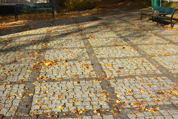 Colorful Autumn Maple Leaves Walkway Finland — Stock Photo, Image