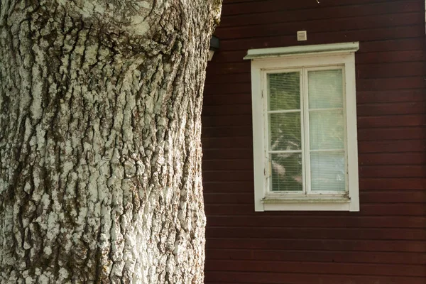 Grande tronco de árvore no fundo da casa de madeira vermelha — Fotografia de Stock
