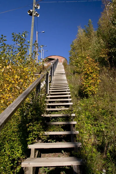 Long wood stairs up to top of bush-covered hill.