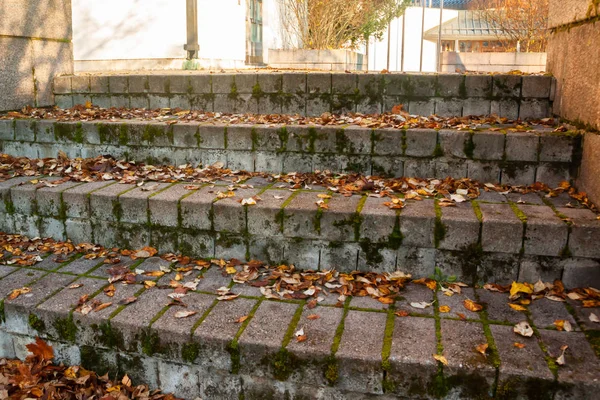 Granittreppe mit Laub und Betonmauer am Herbsttag. — Stockfoto