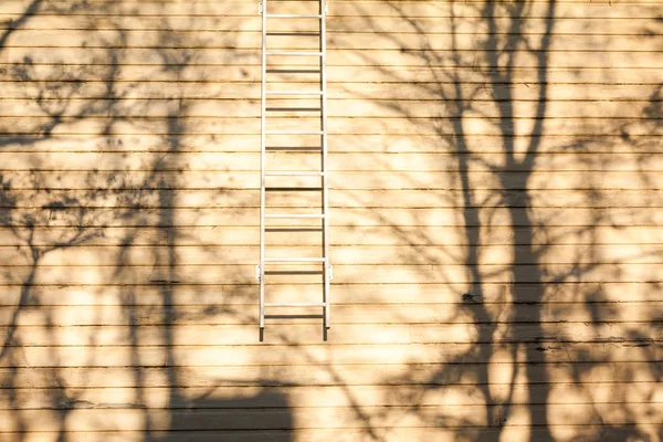 A parede de madeira de uma casa de campo com escadas. Sombras brilhantes de árvores na parede da casa de madeira . — Fotografia de Stock