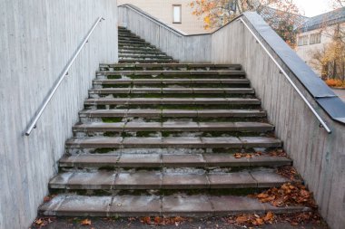 Bitki örtüsü ve sonbahar günü bir beton duvara granit merdivenleri.