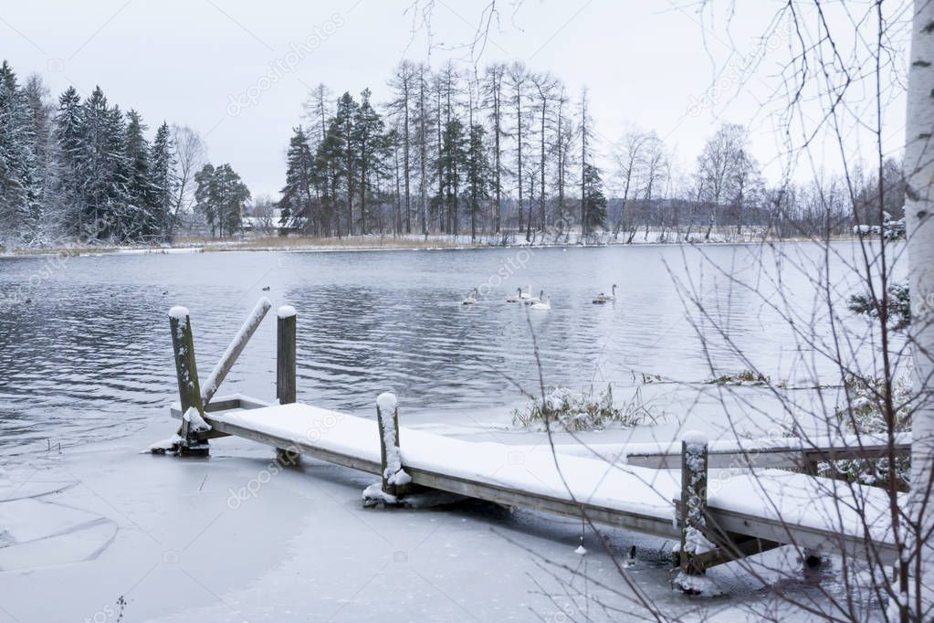 Winter calm landscape on a river with a white swans and pier. Finland, river Kymijoki.