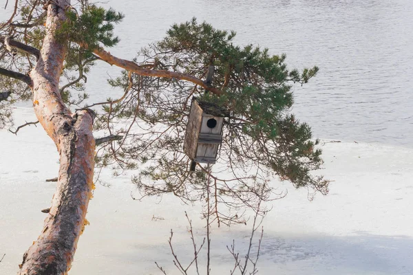 Kymijoki 川の水の氷と、木の上のネスト ボックス フィンランド、キュメンラークソ、コウヴォラ春の風景 — ストック写真