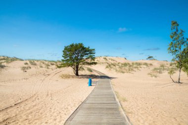 Yaz aylarında güzel kumlu plaj Yyteri, Pori, Finlandiya