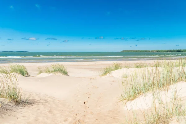 Belle plage de sable Yyteri en été, à Pori, Finlande — Photo