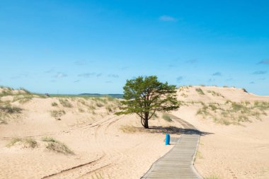 Yaz aylarında güzel kumlu plaj Yyteri, Pori, Finlandiya