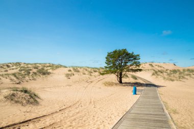 Yaz aylarında güzel kumlu plaj Yyteri, Pori, Finlandiya