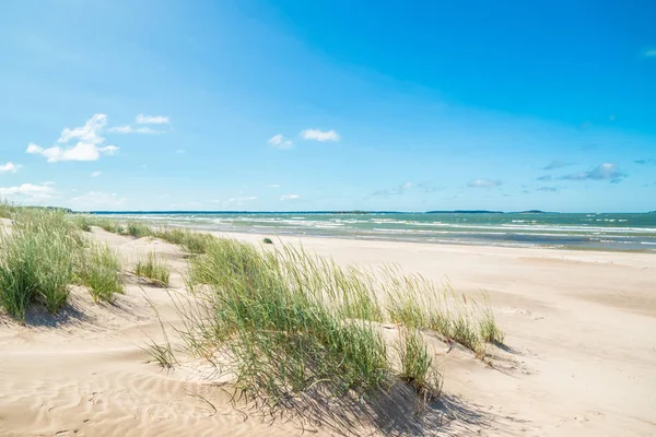 Belle plage de sable Yyteri en été, à Pori, Finlande — Photo